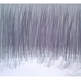 Странный лес зоны №Z