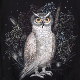 Фрагмент росписи по футболке "Сова"