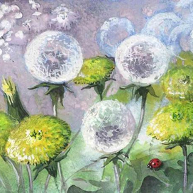 Одуванчики