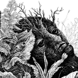 Легкое летнее чтение