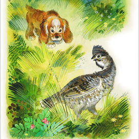 Чарушин "Про Томку"