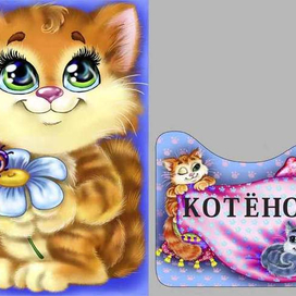 Кот обложка и стр 0