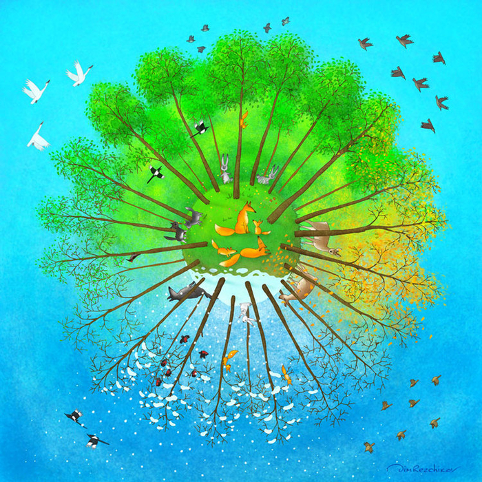 "Круглый год"