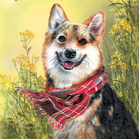 Обложка для книги "Истории со счастливым хвостом", издательство Аквилегия-М