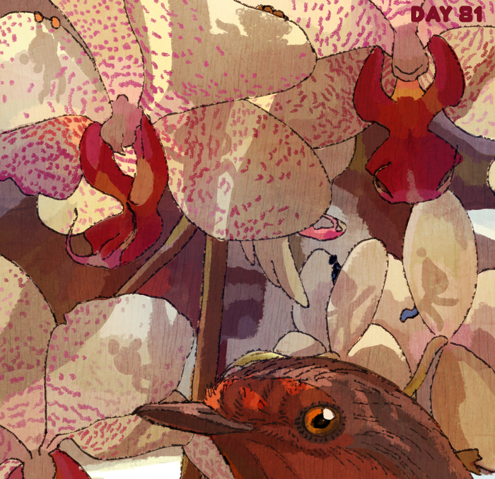 Прячься!Птица!