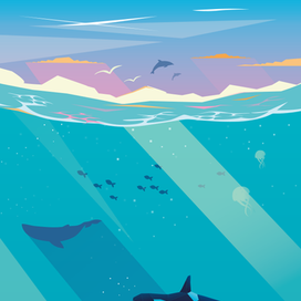 Морское дно