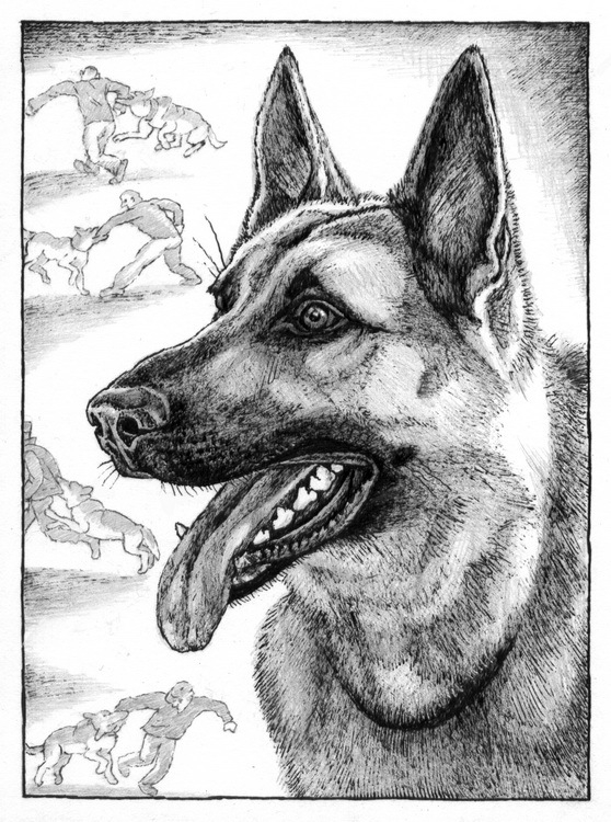  "Особое задание". из илл-й к: "Алый", Ю. Коваль.