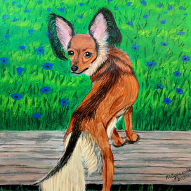 Русский той