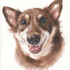 Портрет собачки