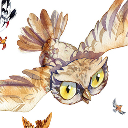 Сон кукушки