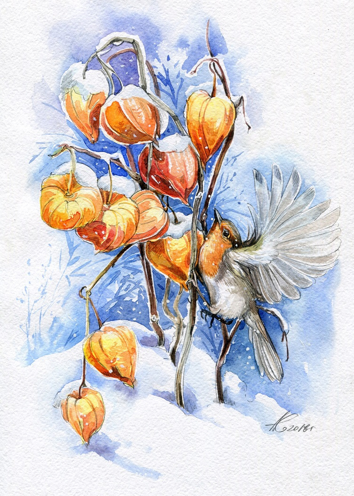 Малиновка и физалис