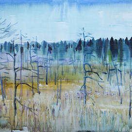 Северное болото