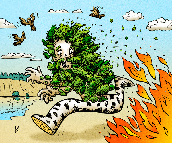 Лес в опасности