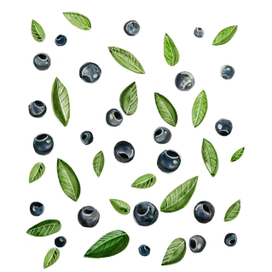 Blueberries pattern