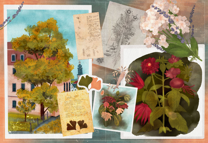 Book illustration p.2