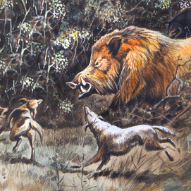 Охота на Кавказе.