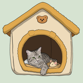 Котик в домике.