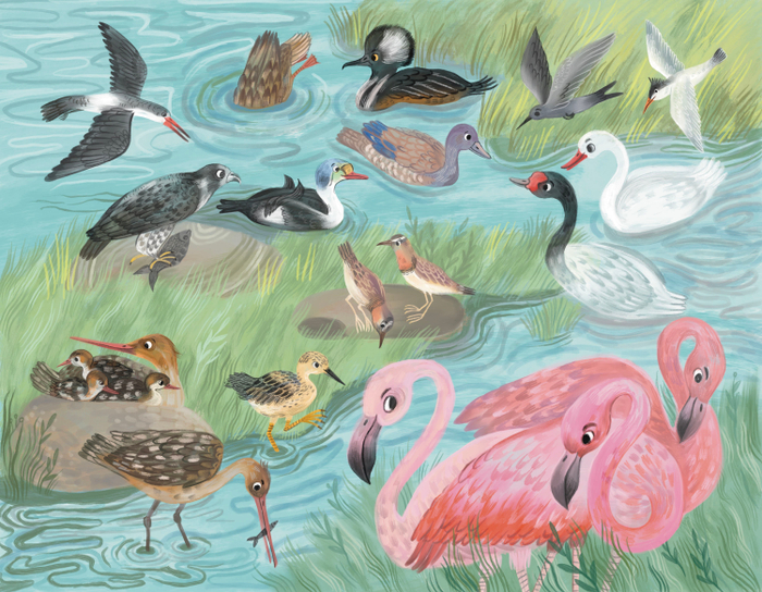 Пляжи Бразилии. Издательство Pioneer Valley Books