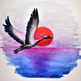 Красавка на закате