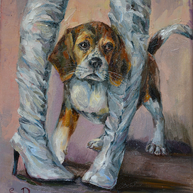 Бигль и серые сапожки.