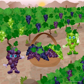 Виноградный бум
