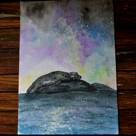 звёздный сон