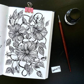 Цветы шиповника