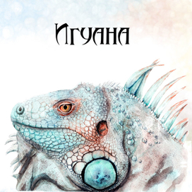 Игуана акварель