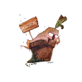 Мандрагора "Пикантная"