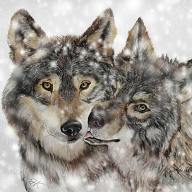 сНежные волки