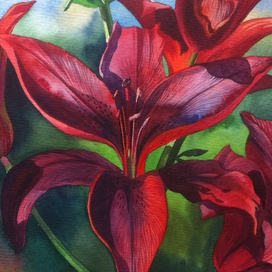 Красная лилия