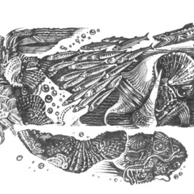 Заставка к книге о воде