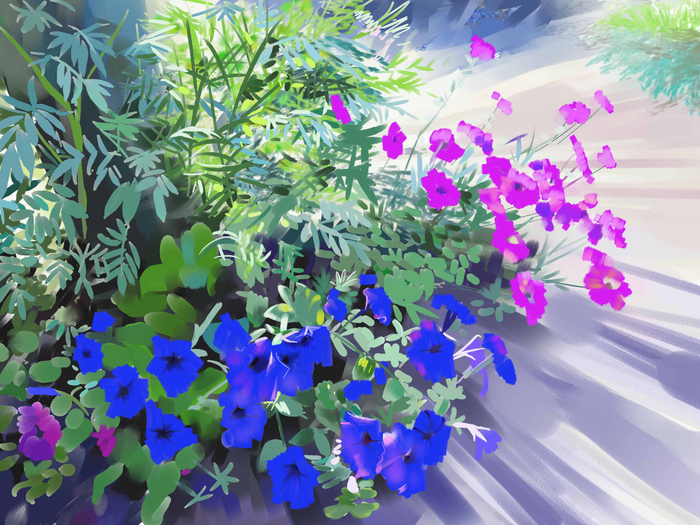 Цветы на даче