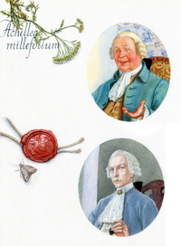 Freiesmann лекарь Шарф и нотариус Гартунг.