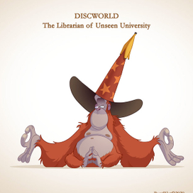 Библиотекарь Незримого университета. Плоский мир