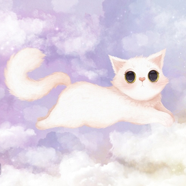 Котик в полёте - Masha BGD