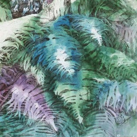 Папоротник