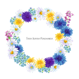 Летние цветы