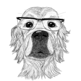 Собака в очках