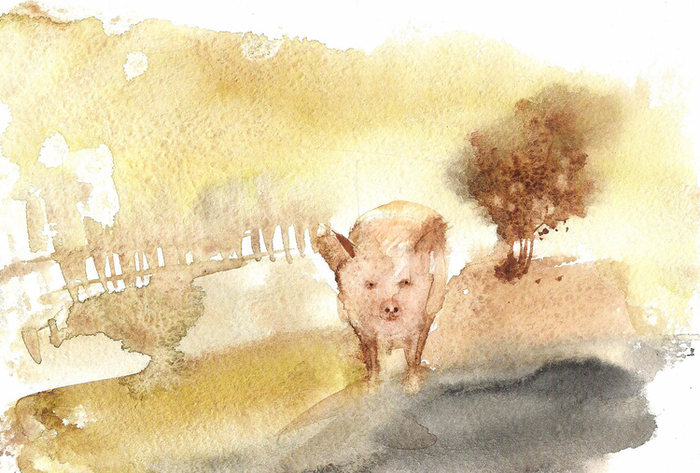 В деревне этим летом