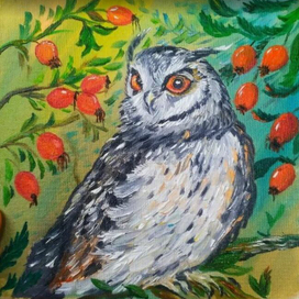 Проснулась соня!