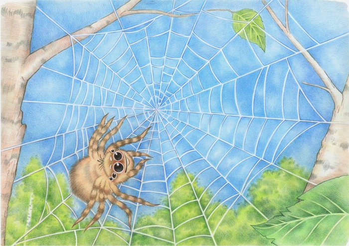 Сказка про паучка