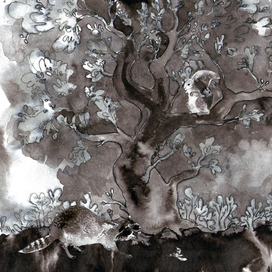 Енот и белка