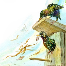 Выселение, скворцы