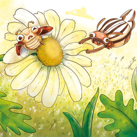 Предполетная тренировка