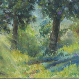 Солнечный ветер в лесу