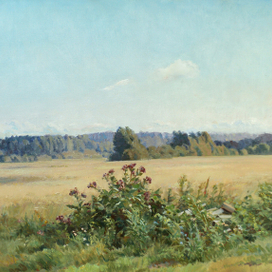 Репей на краю поля.