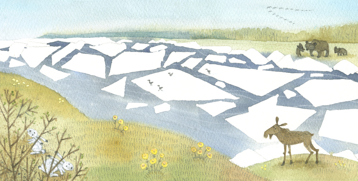 Книжка-картинка Весна (на Севере, Времена года)