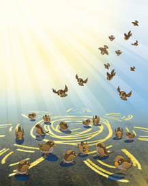 Солнышко на асфальте 2