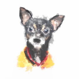 акварель собака (принты)